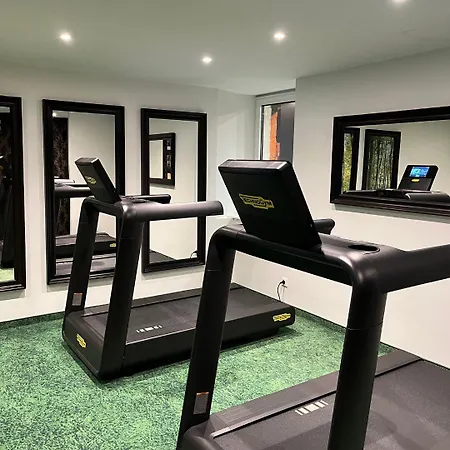 Mercure Centre Petite France שטרסבורג