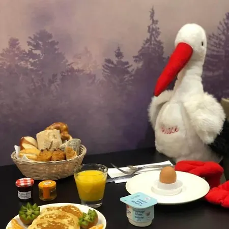 Mercure Centre Petite France שטרסבורג