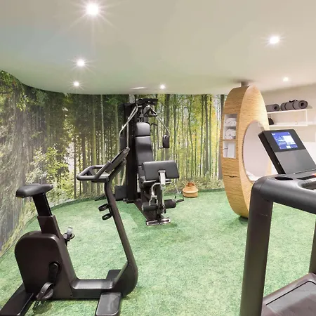 Mercure Centre Petite France 3* שטרסבורג