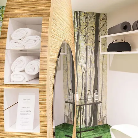 Mercure Centre Petite France Hotel Strasburgo