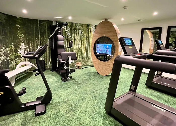 Mercure Centre Petite France Hotel Straßburg