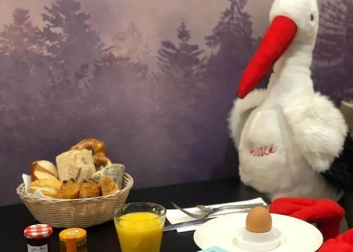 Mercure Centre Petite France Strasburg