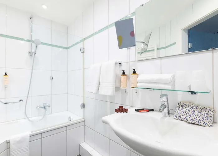 Mercure Centre Petite France 3* Straßburg